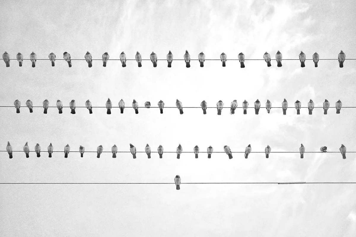 Allgemeine Psychologie 2026: Ein Überblick über die wichtigsten Theorien
